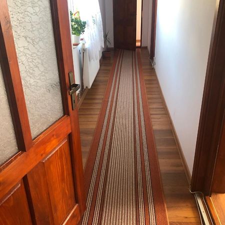 Pensiunea Lacramioara 瓦特拉多梅 外观 照片
