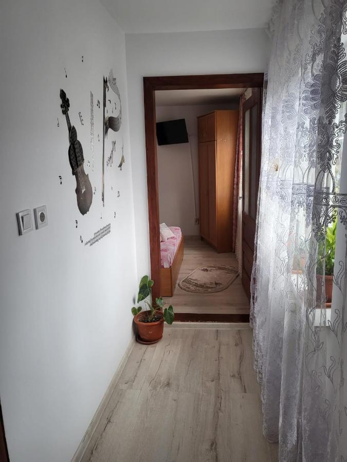 Pensiunea Lacramioara 瓦特拉多梅 外观 照片